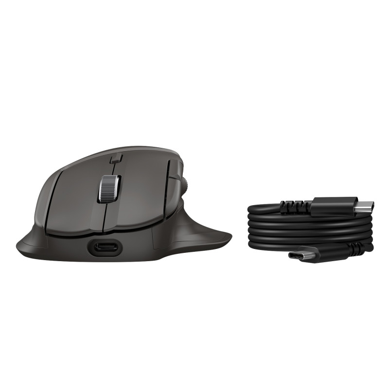HP Ultra-Fast Scroll Wireless Mouse 785 EURO