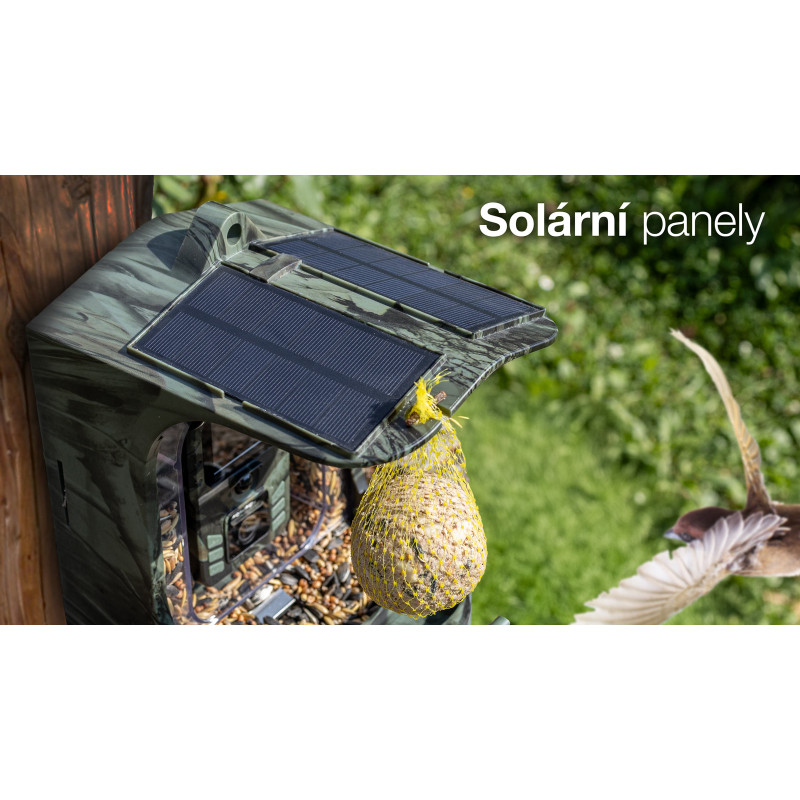 EVOLVEO StrongVision BirdFeeder - Chytré krmítko pre ptákov s kamerou a solárnym panelom