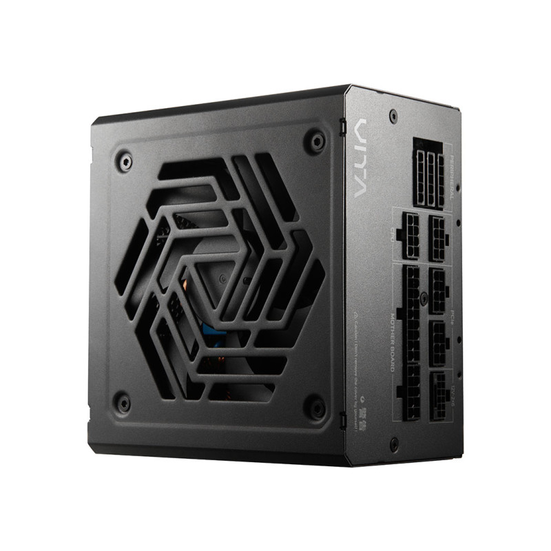 FSP VITA PM/1000W/ATX 3.1/80PLUS Platinum/Modular/Retail