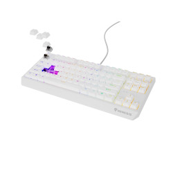 Genesis herná klávesnica THOR 230/TKL/RGB/Outemu Brown/Drôtová USB/US layout/Biela