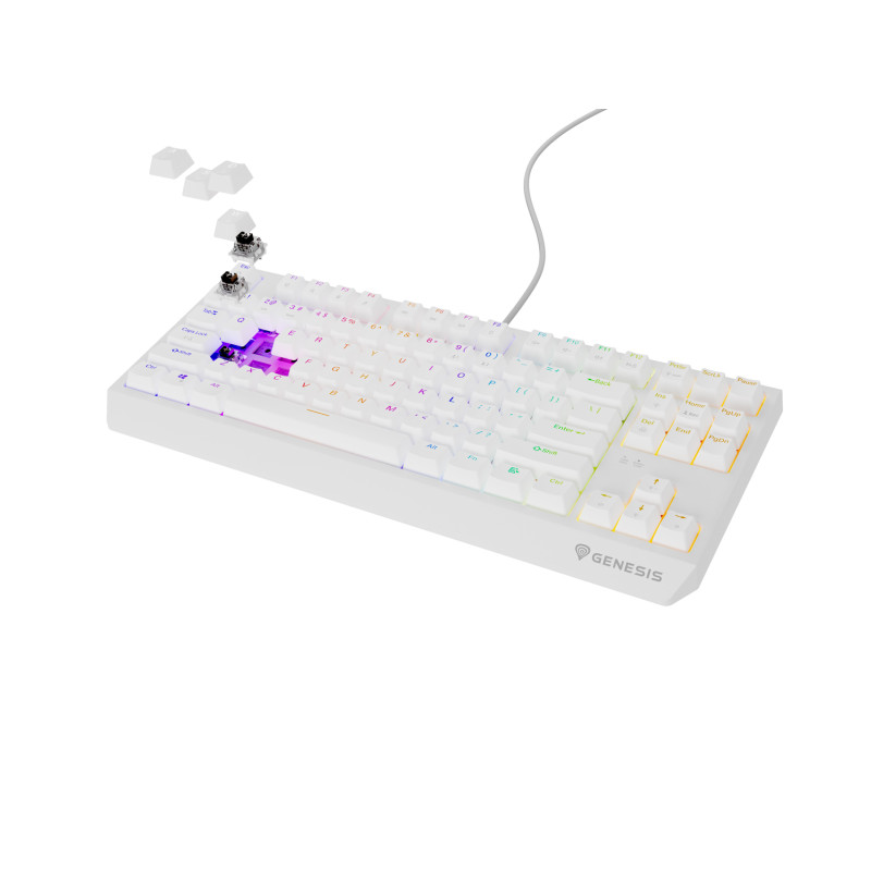 Genesis herná klávesnica THOR 230/TKL/RGB/Outemu Brown/Drôtová USB/US layout/Biela