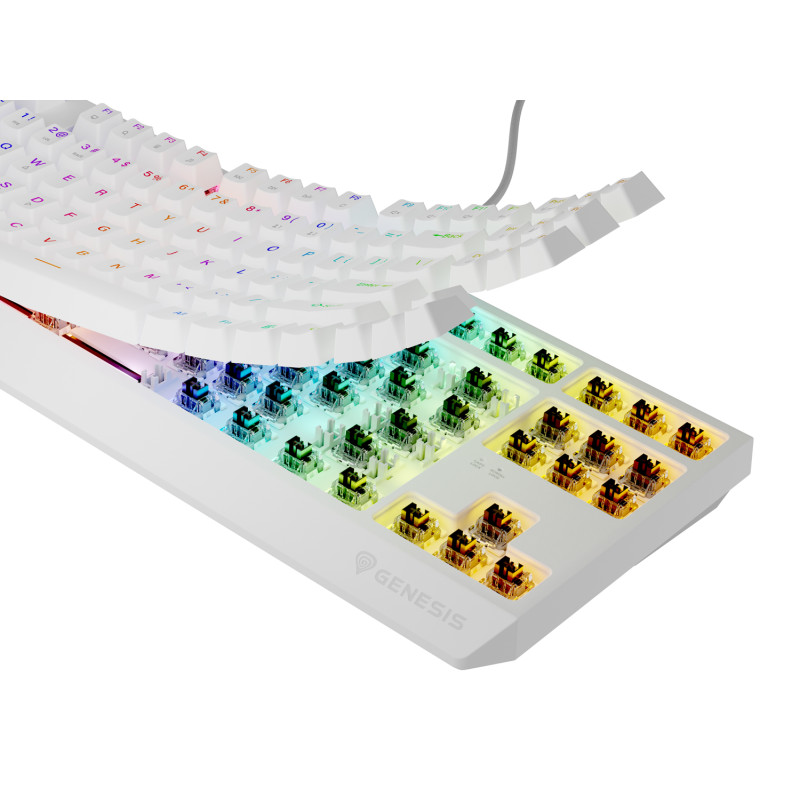 Genesis herná klávesnica THOR 230/TKL/RGB/Outemu Brown/Drôtová USB/US layout/Biela