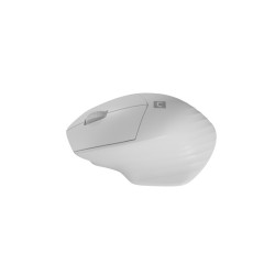 Natec optická myš SISKIN 2/Kancelárska/Optická/Pre pravákov/1 600 DPI/USB+BT/Biela