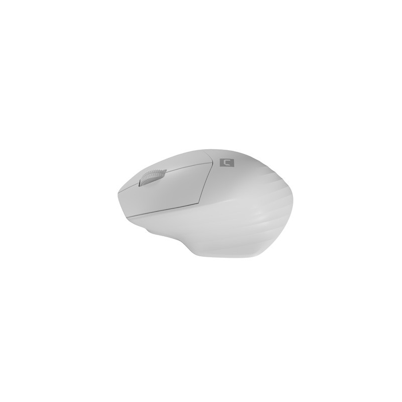 Natec optická myš SISKIN 2/Kancelárska/Optická/Pre pravákov/1 600 DPI/USB+BT/Biela