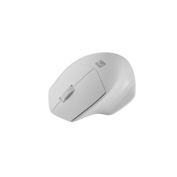 Natec optická myš SISKIN 2/Kancelárska/Optická/Pre pravákov/1 600 DPI/USB+BT/Biela