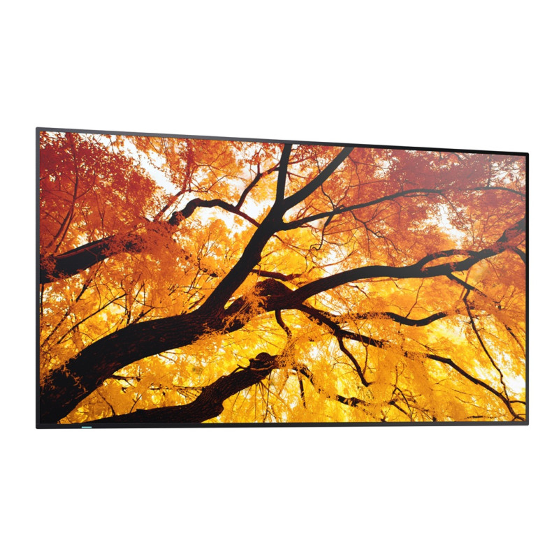 SHARP/NEC - 75'' LED SHARP M752,3840x2160,IPS,24/7,500cd