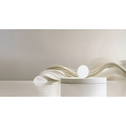 Xiaomi Mi Smart LED Ceiling Light D20