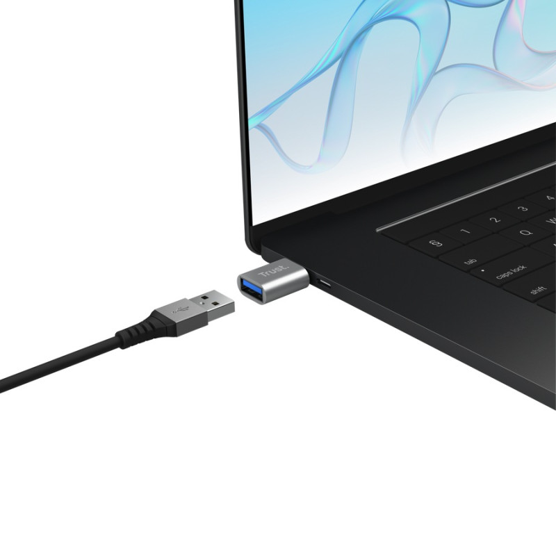 TRUST CALYX USB-C TO USB-A ADAPTER 2PACK