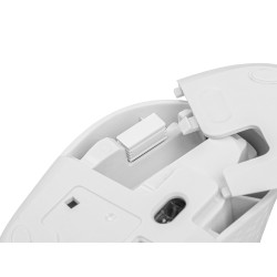 Myš Natec STORK/Kancelárska/Optická/1 600 DPI/Bezdrôtová USB/Biela