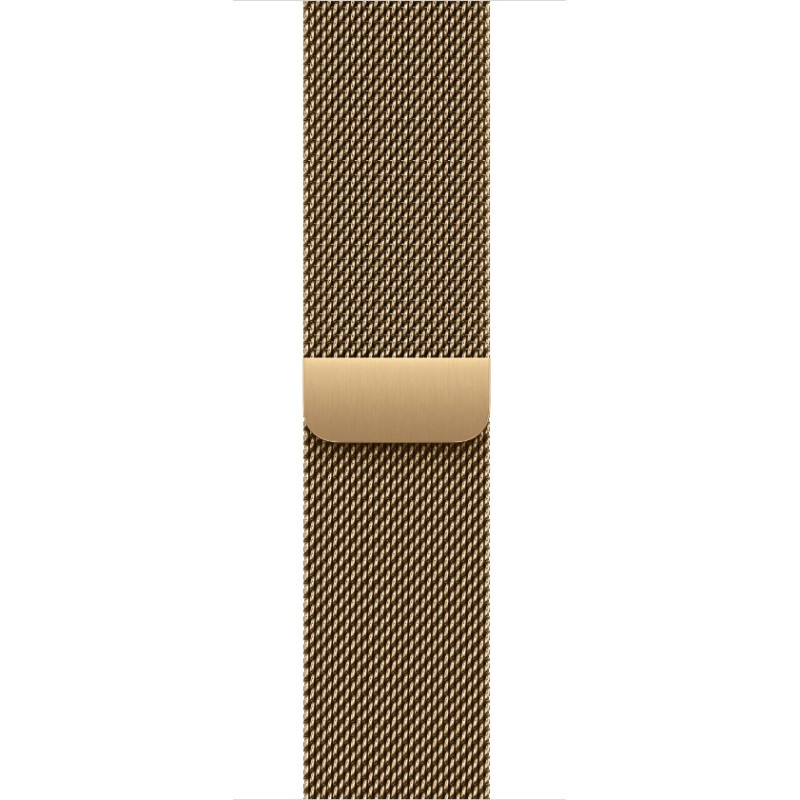 Watch Acc/40/Radiant Gold Milanese Loop