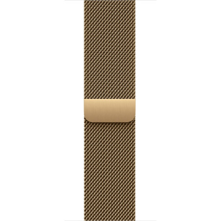 Watch Acc/40/Radiant Gold Milanese Loop