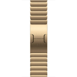 Watch Acc/42/Radiant Gold Link Bracelet