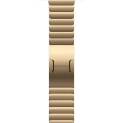 Watch Acc/46/Radiant Gold Link Bracelet