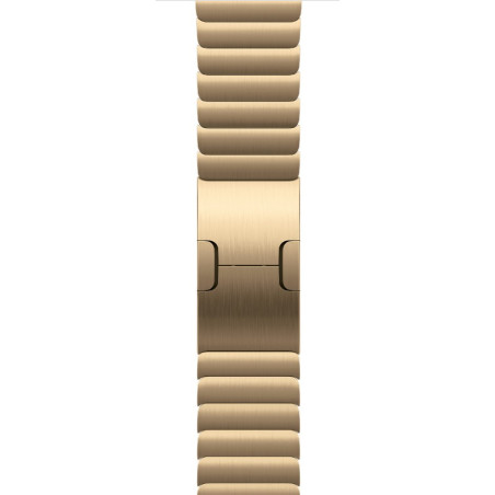 Watch Acc/46/Radiant Gold Link Bracelet