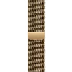 Watch Acc/42/Radiant Gold Milanese Loop