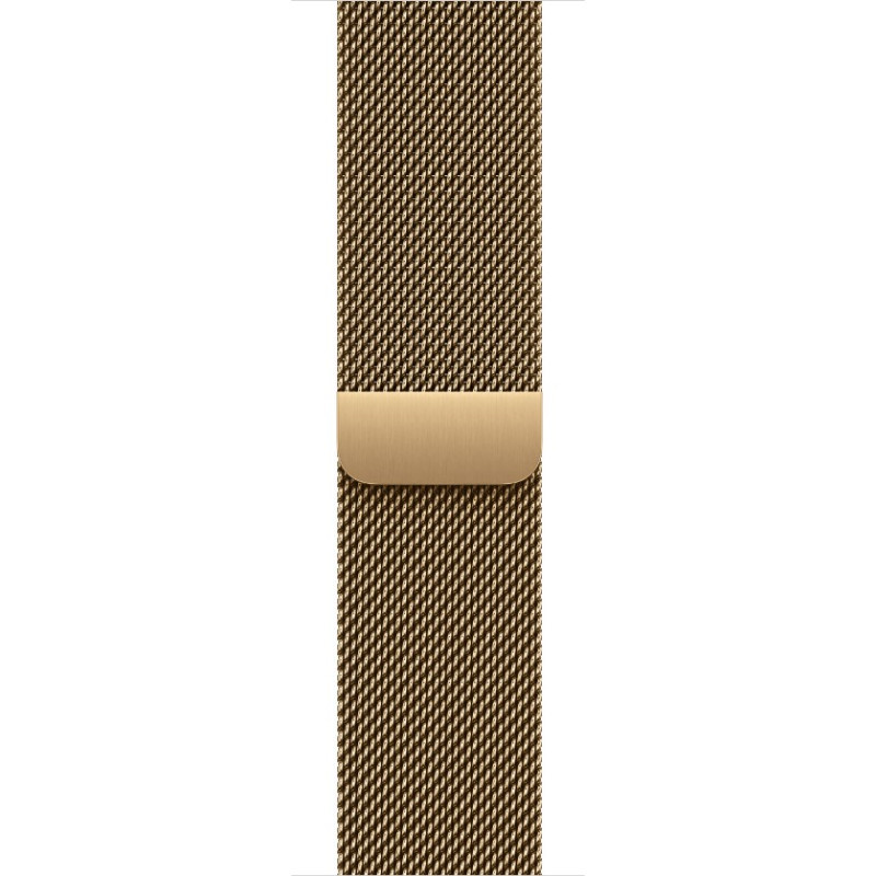 Watch Acc/42/Radiant Gold Milanese Loop