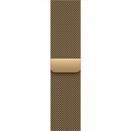 Watch Acc/42/Radiant Gold Milanese Loop