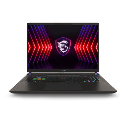 MSI Vector/16 HX A14VHG/i9-14900HX/16''/2560x1600/32GB/1TB SSD/RTX 4080/DOS/Gray/2R