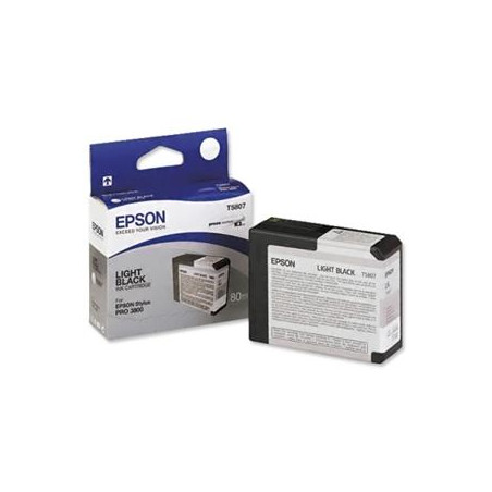 Epson T580 Light Black (80 ml)