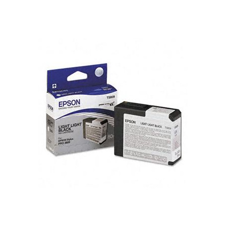 Epson T580 Light Light Black (80 ml)