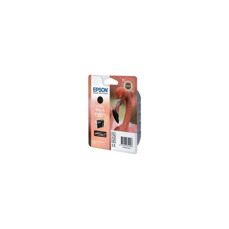 EPSON SP R1900 Photo čierna Ink Cartridge (T0871)