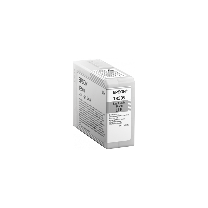 Epson Singlepack Photo Light Light Black T850900 UltraChrome HD ink 80ml