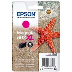 EPSON siglepack, Magenta 603XL