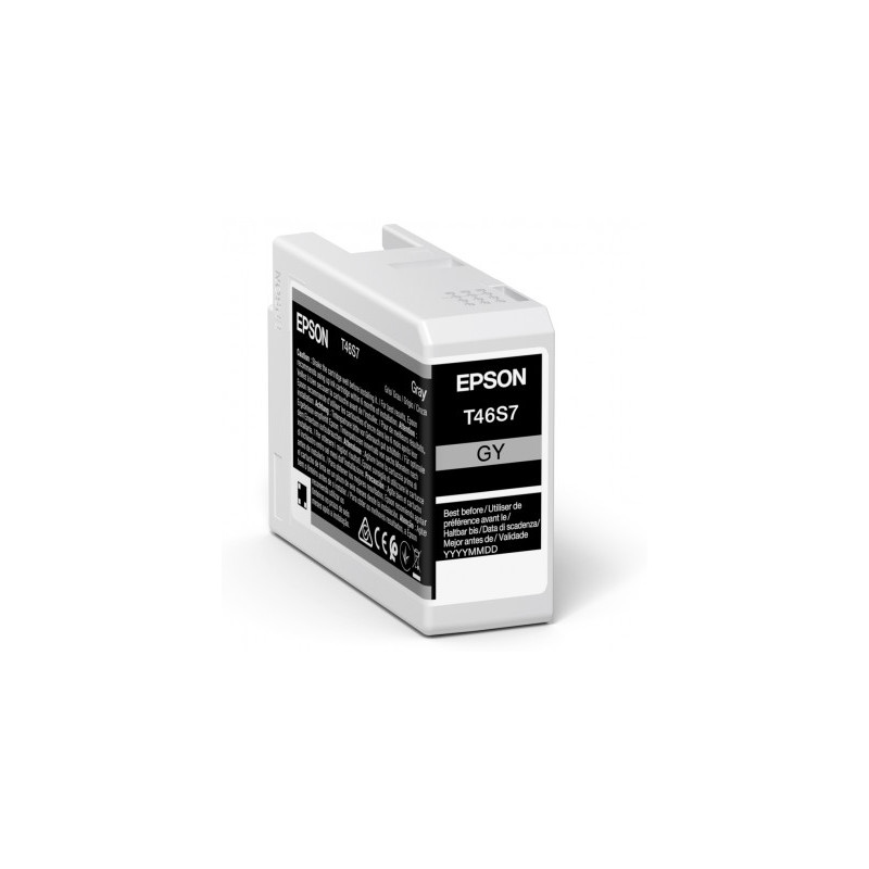 Epson Singlepack Gray T46S7 Ultrachrome
