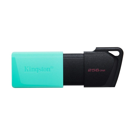 256GB Kingston USB 3.2 (gén 1) DT Exodia M