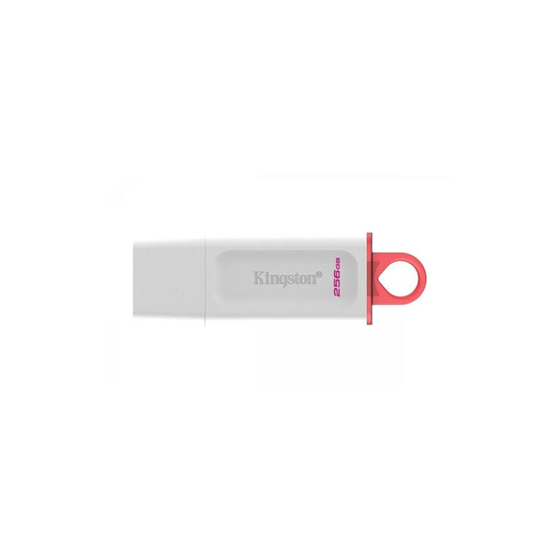 Kingston Exodia/256GB/USB 3.2/USB-A/Biela