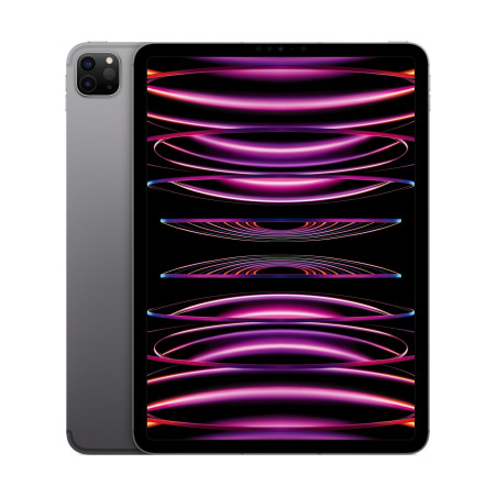 Apple iPad Pro 11''/WiFi + Cell/11''/2388x1668/16GB/2TB/iPadOS16/Space Gray