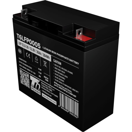 Batéria T6 Power LiFePO4, 12.8V, 30Ah, 384Wh, Bluetooth, M12