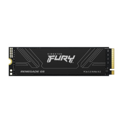 Kingston Fury Renegade G5/4TB/SSD/M.2 NVMe/Čierna/Heatsink/5R