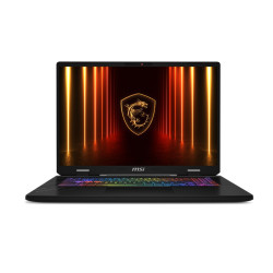 MSI Crosshair/A17 HX D8WFKG-011CZ/R9-8940HX/17''/2560x1600/32GB/1TB/RTX 5060/W11H/Gray/2R