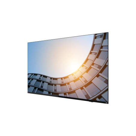 Lenovo ThinkViosion E65 64,5''/16:9/3840x2160/8ms