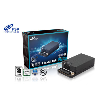 FSP Flex ATX FlexGURU 300, 80PLUS GOLD