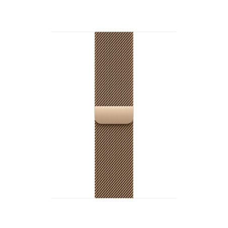 Watch Acc/42/Gold Milanese Loop