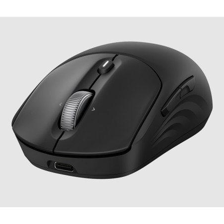 HP 705 Rechargeable Wireless Mouse