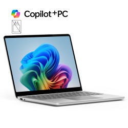 Microsoft Surface Laptop 13''/SD-X Plus/13''/1920x1280/T/24GB/1TB/Adreno/W11P/Platinum/2R