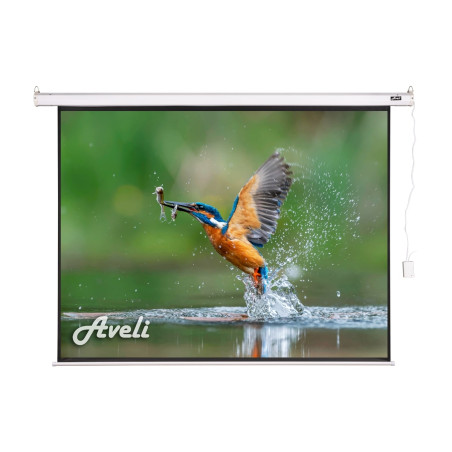 Elektrické projekčné plátno AVELI, 200x150 (4:3) 98''