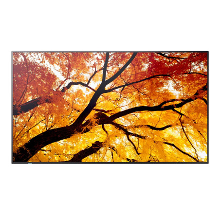 55&#039;&#039; LED SHARP M552,3840x2160,IPS,24/7,500cd