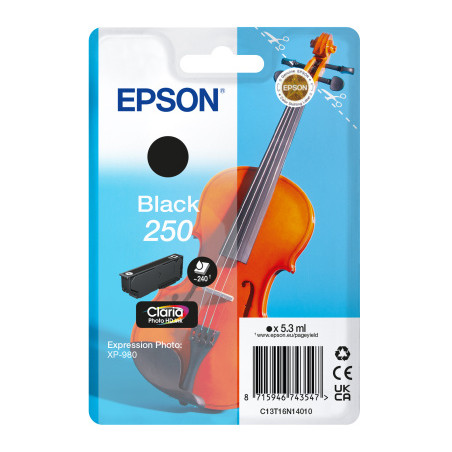Epson Singlepack Black 250 ink
