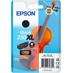 Epson Singlepack Black 250XL ink