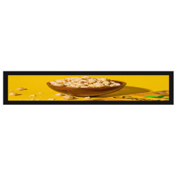 21.1'' Artemis BAR-1920x371,500cd, AN, 24/7