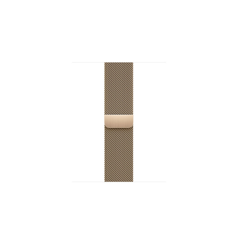 Watch Acc/45/Gold Milanese Loop