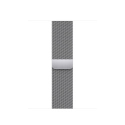 Watch Acc/45/Silver Milanese Loop