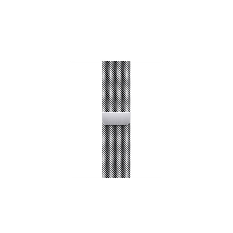 Watch Acc/45/Silver Milanese Loop